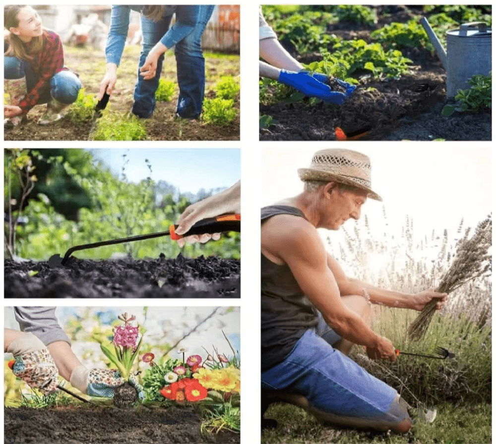 Premium – profesjonalne narzędzie do pielenia i usuwania chwastów ze stali nierdzewnej z ergonomiczną gumową rączką