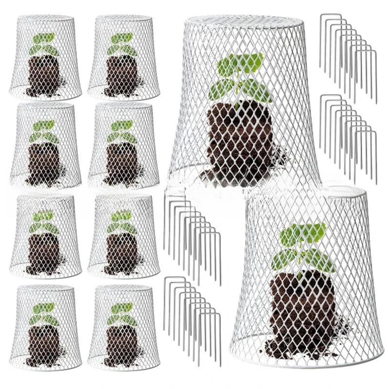 Zestaw 5 szt. stalowych osłon ogrodowych Gardio Iron Plant Protector – ochrona sadzonek, warzyw i kwiatów przed zwierzętami i ptakami