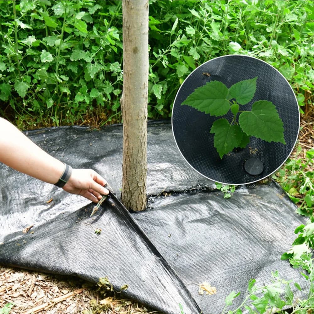 Profesjonalna Mata Przeciw Chwastom | Tkanina Ogrodowa z Polipropylenu | Zestaw 10 szt.