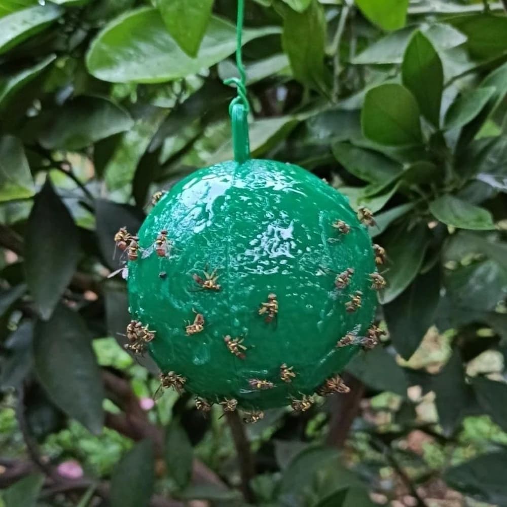 Pułapka ogrodowa Gardio na muchy, osy i owady – kulista lepowa pułapka wisząca