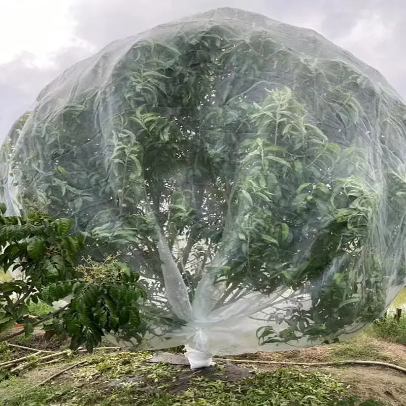 Jak wybrać idealną siatkę do ogrodu? Porównanie 10 rozwiązań Gardio dla Twoich roślin i oczek wodnych